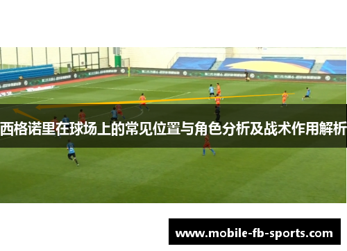 西格诺里在球场上的常见位置与角色分析及战术作用解析