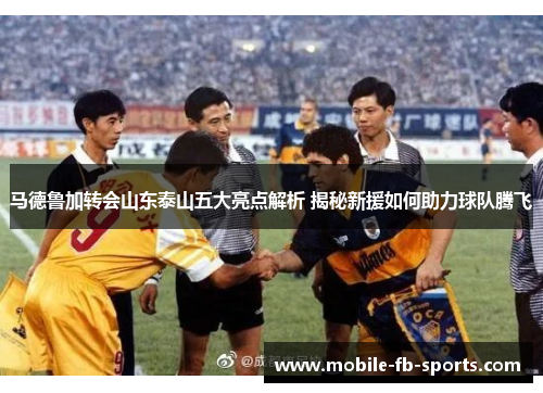 马德鲁加转会山东泰山五大亮点解析 揭秘新援如何助力球队腾飞 马德鲁加转会山东泰山五大亮点解析 揭秘新援如何助力球队腾飞